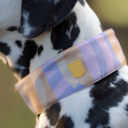 Sunshower Soft Martingale Collar