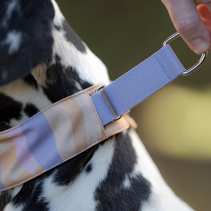 Sunshower Soft Martingale Collar
