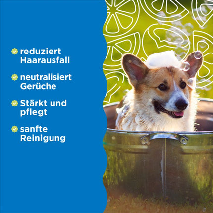  Stärkendes Anti-Haarausfall Shampoo - 355 ml (DE/FR)