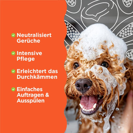 2in1 Shampoo und Spülung – 355ml (DE/FR)