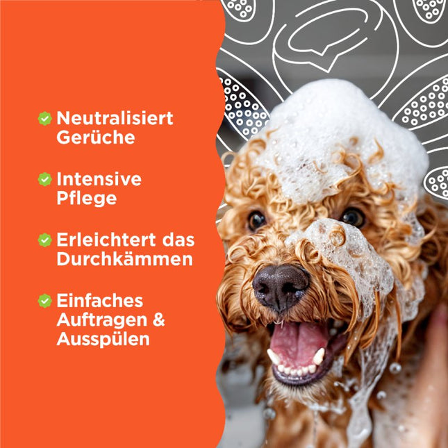 2in1 Shampoo und Spülung – 355ml (DE/FR)