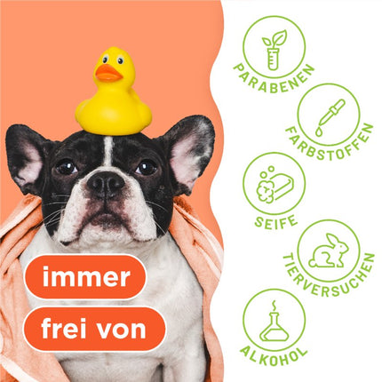 2in1 Shampoo und Spülung – 355ml (DE/FR)