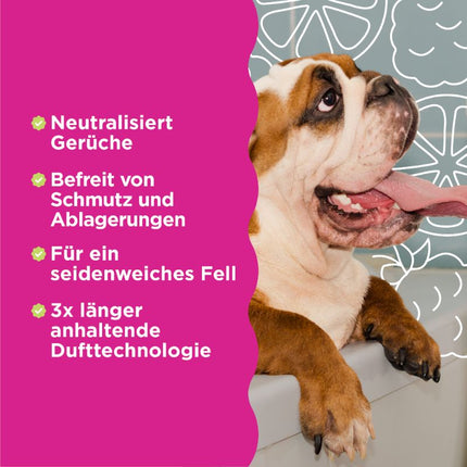 3in1 Geruchsneutralisierendes Shampoo - 355ml (DE/FR)