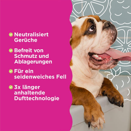 3in1 Geruchsneutralisierendes Spray - 236 ml (DE/FR)