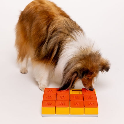 Labyrinth-Leckerli-Set