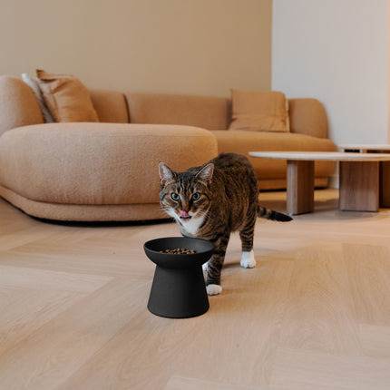 WABI SABI - Verhoogde keramische voerbak