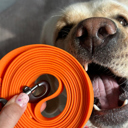 Wasserdichte Hundeleine