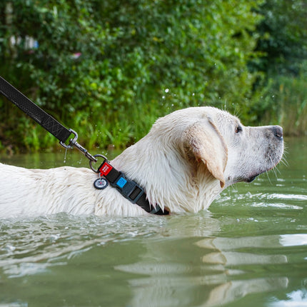 Waterproof hondenhalsband met QR-paspoort