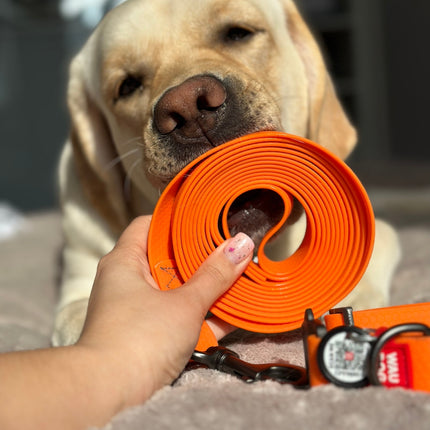 Wasserdichte Hundeleine