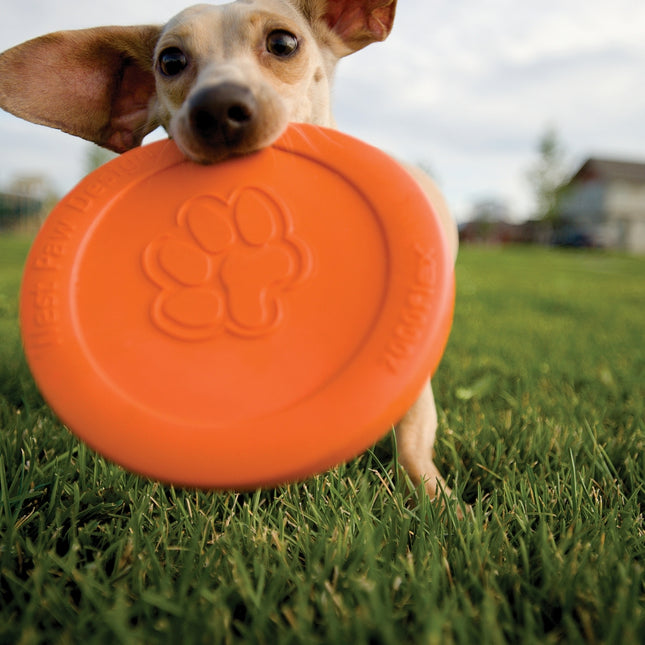 Zogoflex Zisc Frisbee