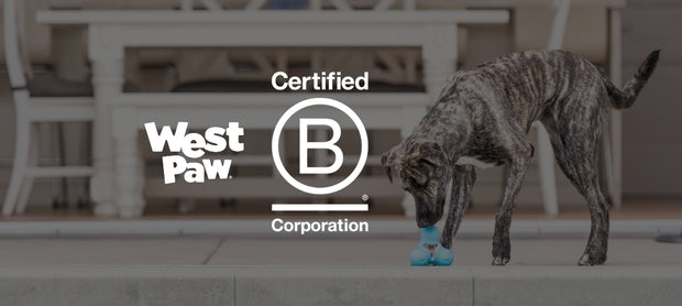 <h4>West Paw behaalt B Corp hercertificering</h4>