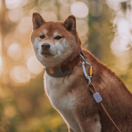 Rope Leash