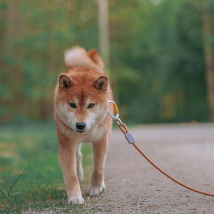 Rope Leash