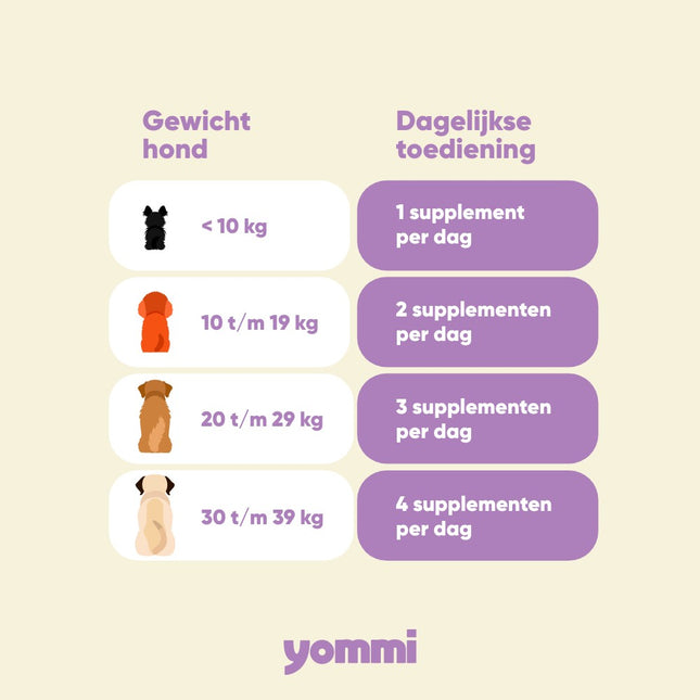 Happy Skin - Gesundes Fell und gesunde Haut