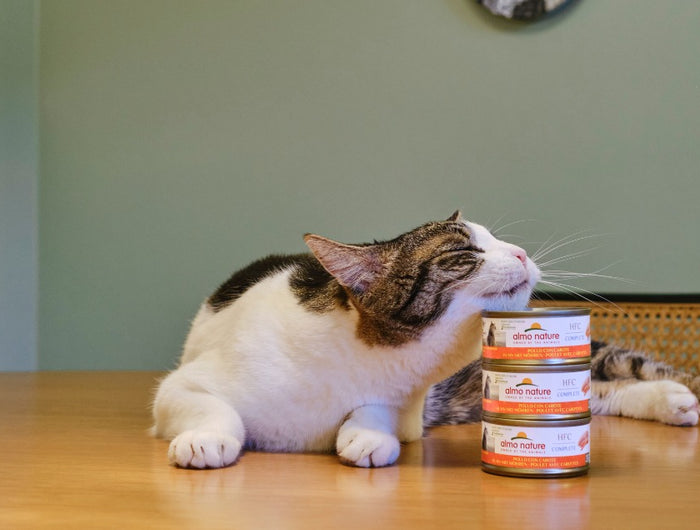 <h3>Human-Grade voeding voor katten</h3>