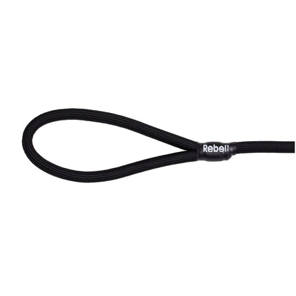 Basic Leash