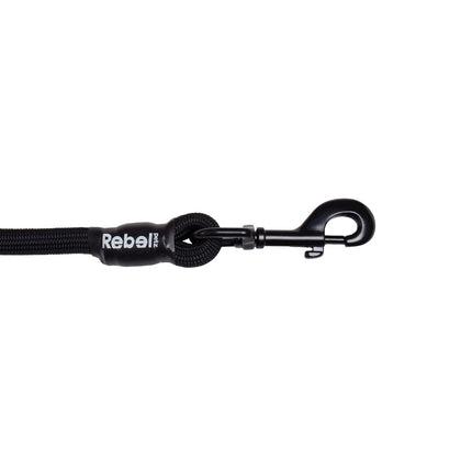 Basic Leash