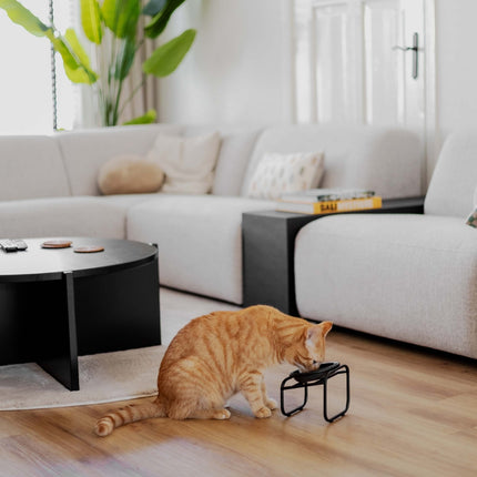 BUTLER Single für Katzen