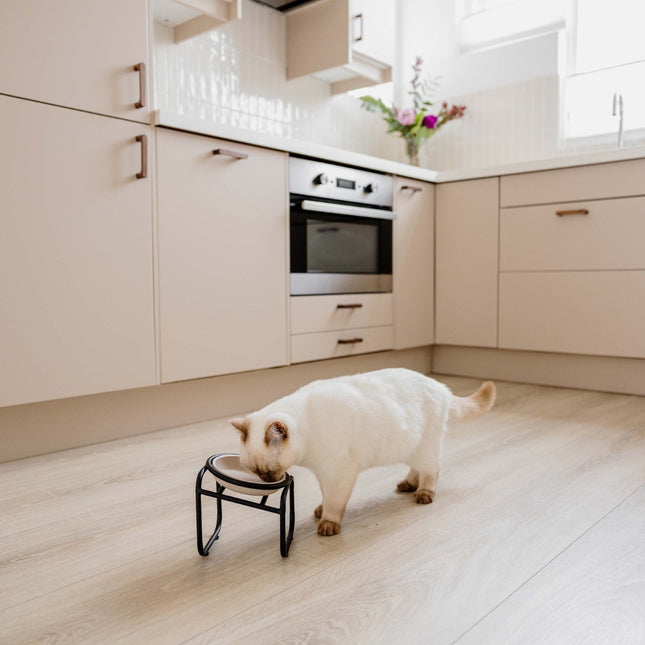 BUTLER Single voor katten