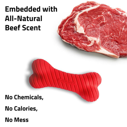 Dual Layer Bone