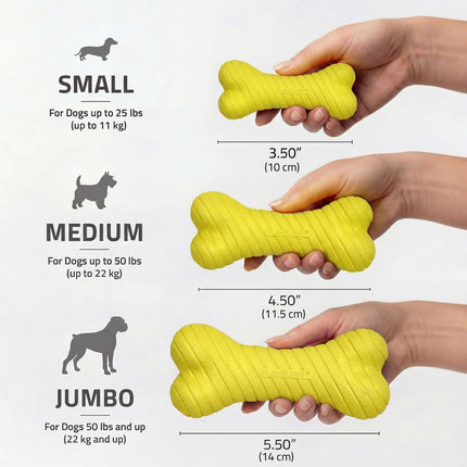Dual Layer Bone