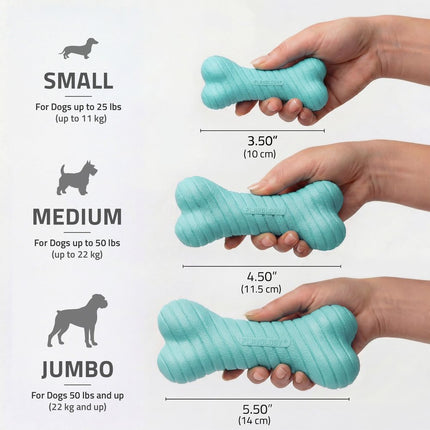 Dual Layer Bone