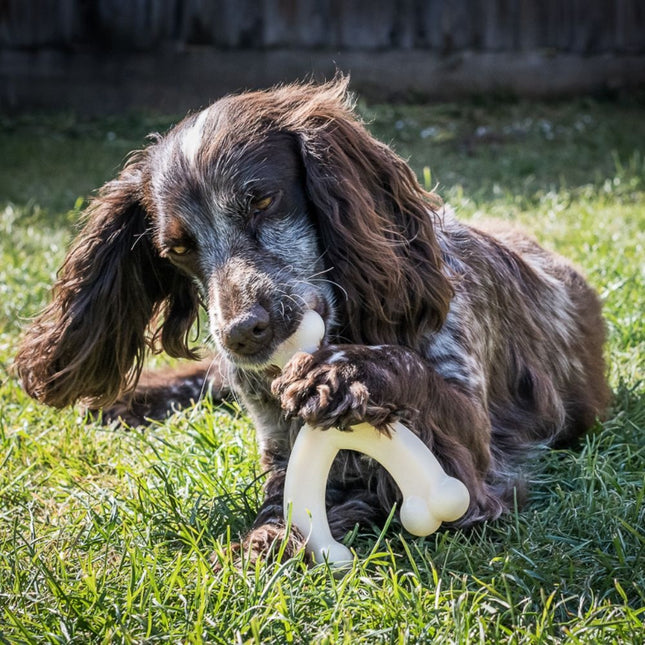 Extreme Chew Wishbone