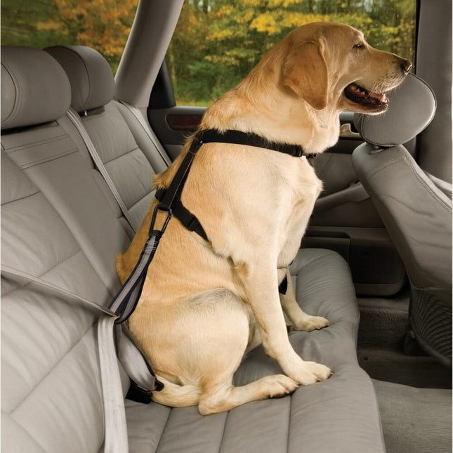 Dog Seatbelt Loop