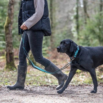 Solid Leash