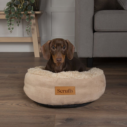 Display Cosy Cat Bed Combo - 24 stuks
