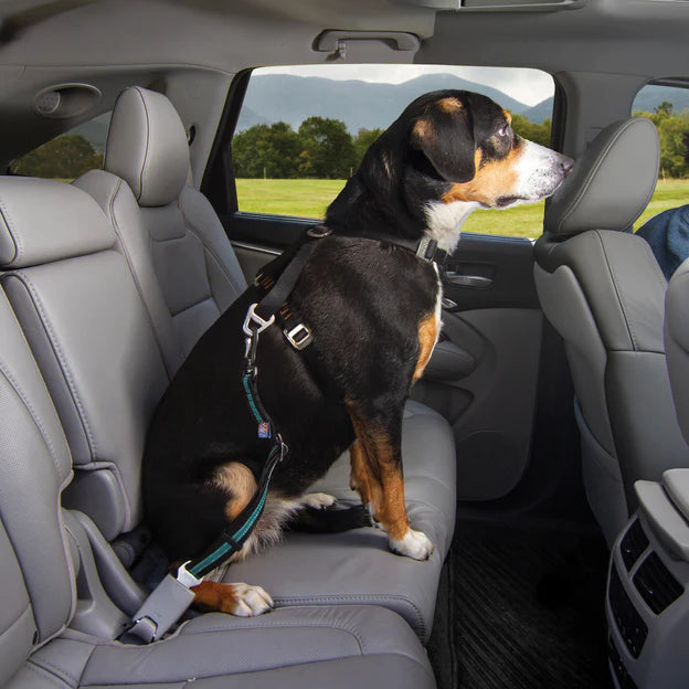 Direct to Seatbelt Swivel Tether - Blauw