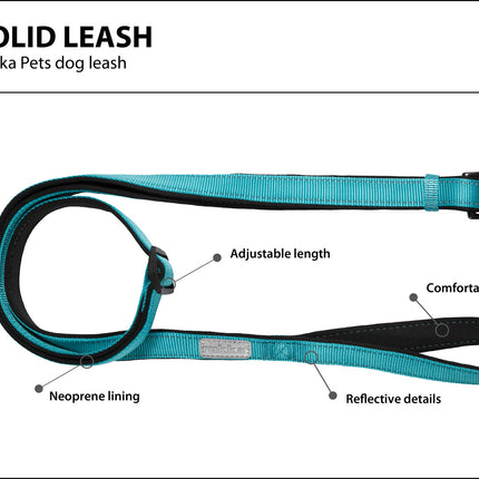 Solid Leash