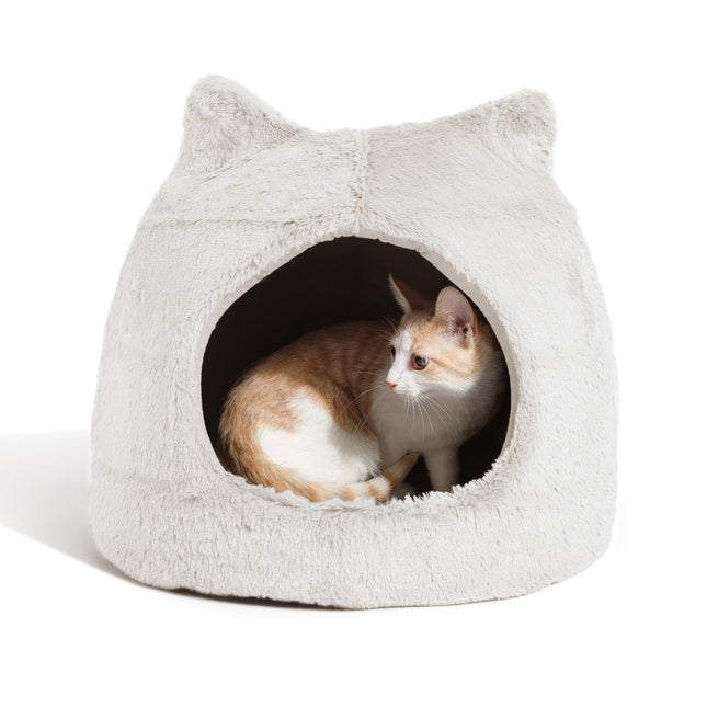 Meow Hut
