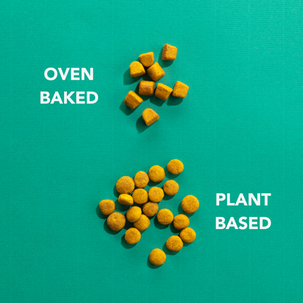 Plant-based Dry Food - Adult