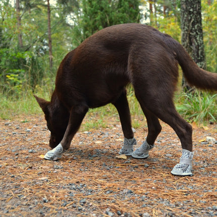 Light Path Shoes 4-pack