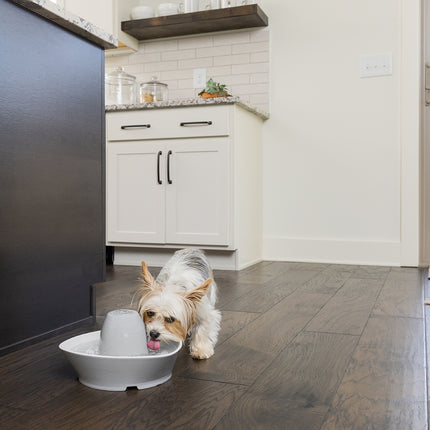 Streamside Ceramic Pet Fountain - 1.8 L