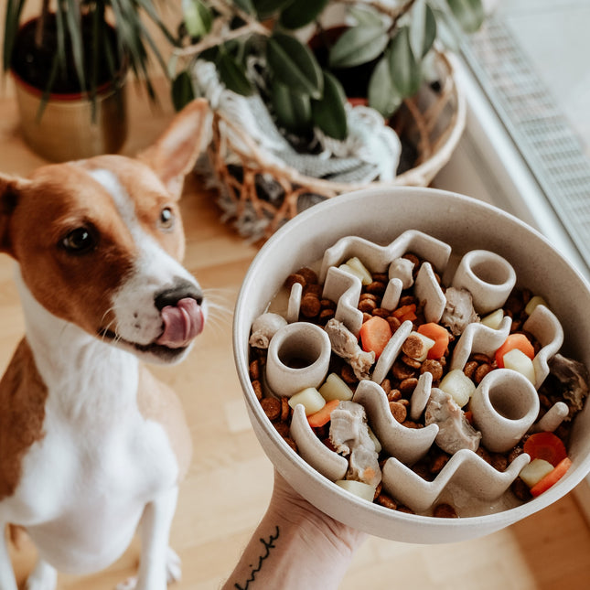 BAMBOO Slow Feeder voor Honden