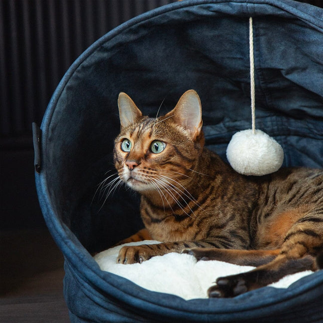 Kensington Cat Bed