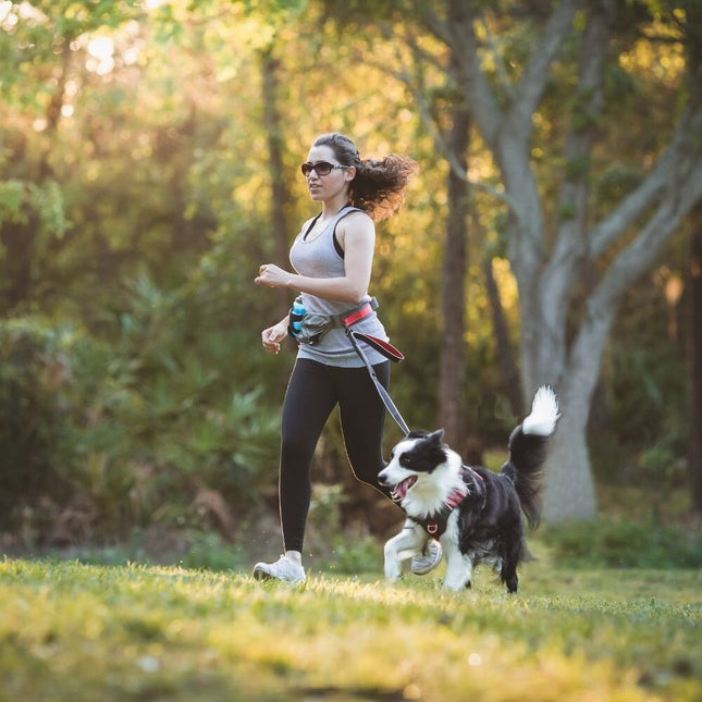 Excursion Running Belt