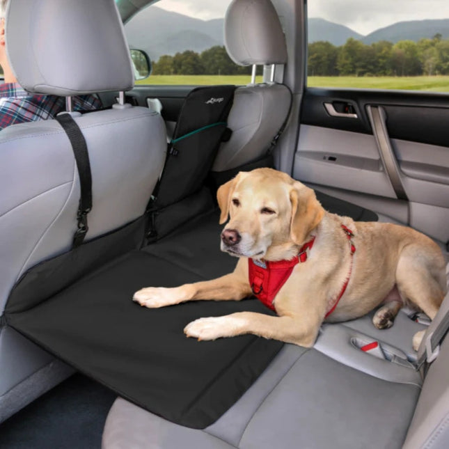 Rover Backseat Bridge