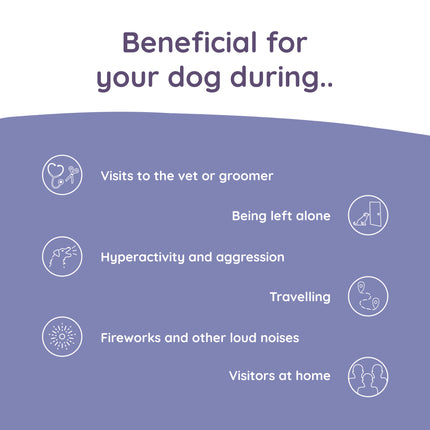 Calm+ gegen Stress bei Hunden