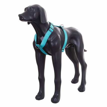 Form Harness
