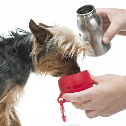 H2O Stainless Steel Water Bottle