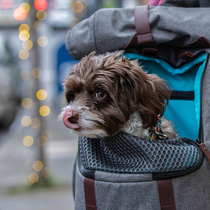 Rucksack