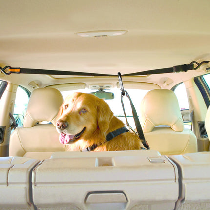 Auto Zip Line für Hunde