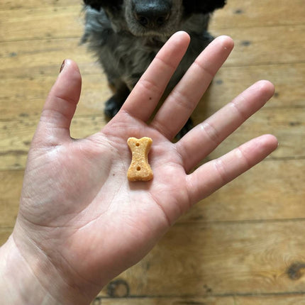 Treats - Cashew with Pumpkin Seed & Carrot
