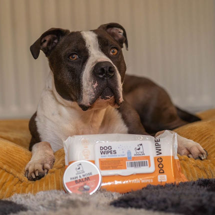 Dog Grooming Wipes