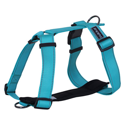 Form Harness