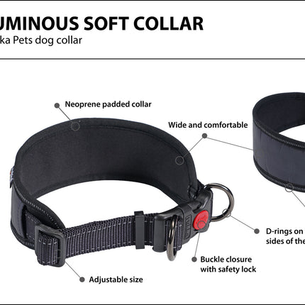 Luminous Soft Collar