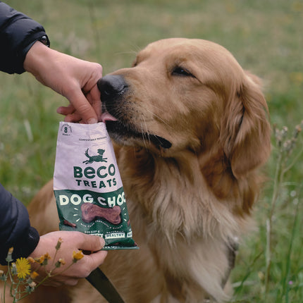 Treats - Dog Choc with Camomile & Quinoa